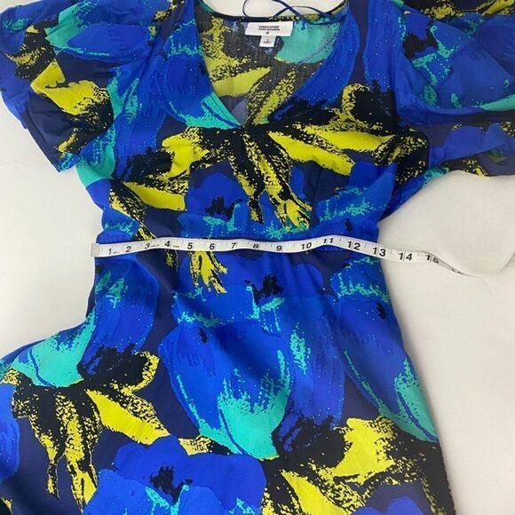 Floral Christopher John Rogers Dress for Target Pattern Blue Yellow - Sz 0 Twee - Picture 8 of 8